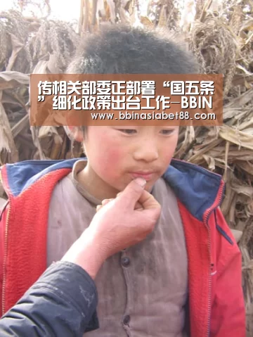 传相关部委正部署“国五条”细化政策出台工作-BBIN登录