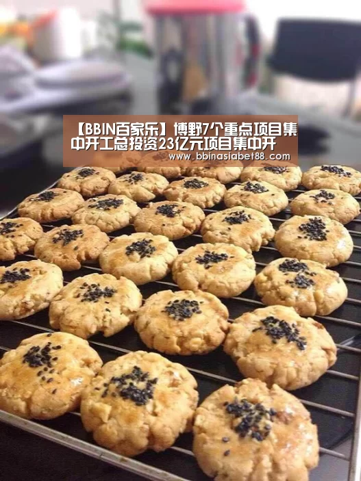 【BBIN百家乐】博野7个重点项目集中开工总投资23亿元项目集中开工(图3) BBIN登录