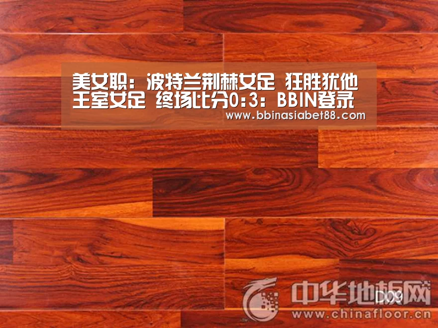 BBIN篮球