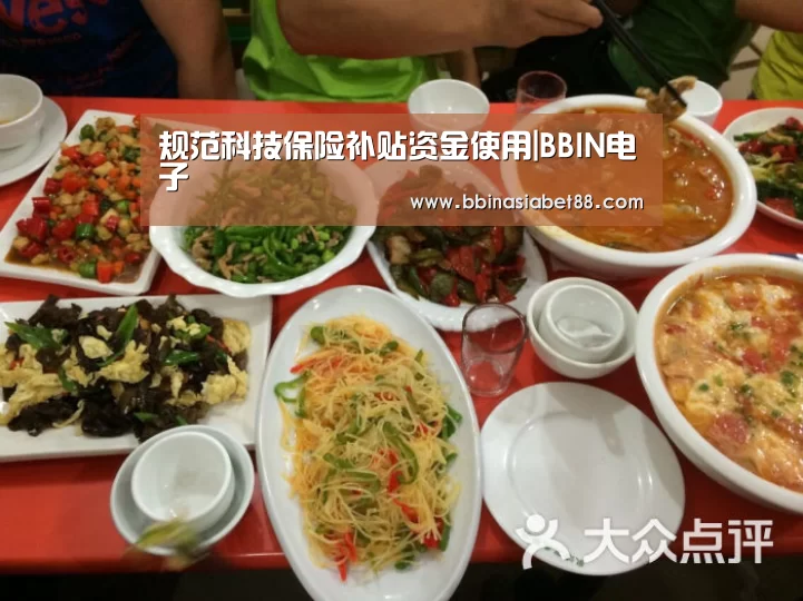 规范科技保险补贴资金使用|BBIN电子(图2) BBIN百家乐