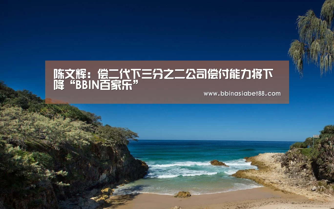 陈文辉:偿二代下三分之二公司偿付能力将下降“BBIN百家乐”(图1) BBIN百家乐