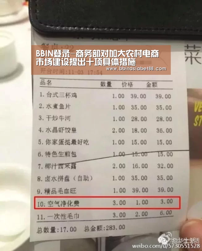 BBIN登录-商务部对加大农村电商市场建设提出十项具体措施(图1) BBIN篮球